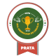 Medalha PRATA no South American Festival